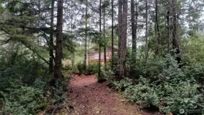 heading out of trail, back to log home