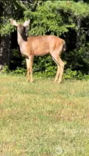 just walking through:)