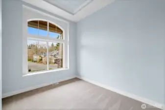 Lower level living space features oversized wood wrapped West facing windows for abundant natural light and dramatic tray ceilings.