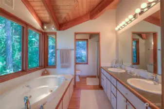 Jetted Soaking Tub with View
