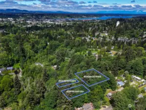 Tucked away amongst the tall trees yet just a short distance to downtown Olympia and Lacey for all your shopping and entertainment needs. Blue property lines are approximate. Buyer to verify to their own satisfaction.