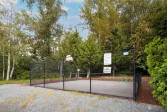 Community sport court. Hoop practice?!