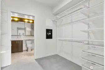 Huge walk-in Closet and secure sage