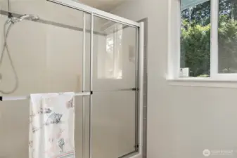 The primary bathroom shower.