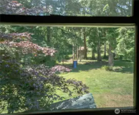 View from the kitchen window to playground below.