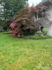 Lots of mature landscaping.