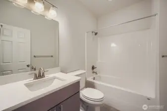Lower Level Bathroom