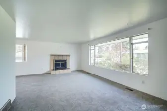 LIVING ROOM FIRESPLACE