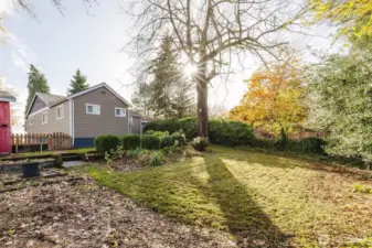 Room to let your garden grow!