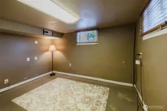 Precautionary sump pump located in front, downstairs Fourth bedroom.