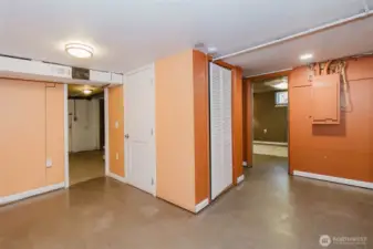 ANOTHER bonus partially finished area downstairs!