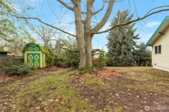 Back yard and outbuilding