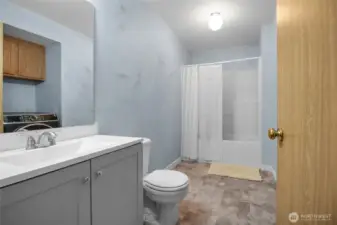 Another full bath (yes, there are 3 full baths), this one in the lower level.