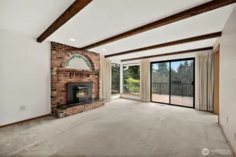 From the dining room, enter the family room.  Ahh... a nice relaxing evening with the dog(s) next to you by (or on?) the couch, a load of pellets in the pellet stove to create efficient warmth and the ambiance of a little flame, maybe a TV (there's wall space!) with a movie playing and a beverage and snack of choice.  And that view.  Wait a minute...  sometimes it snows.  Can you see the snowfall out the window?  Wait another minute...  that reminds me.  Will the Christmas tree go in this room?