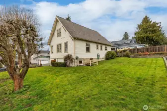 Fruit trees, roses and grapes in this back yard