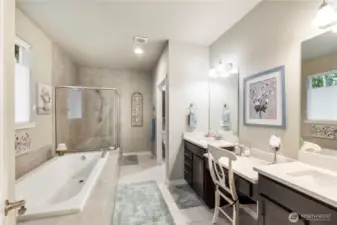 Luxurious Primary Bathroom