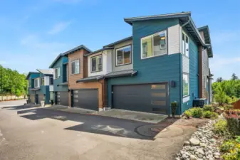 Driveway View