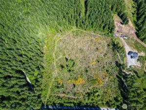 9.5 Acres of Marketable Timber