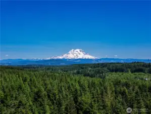 Mt. Rainier View Potential with Timber Harvest