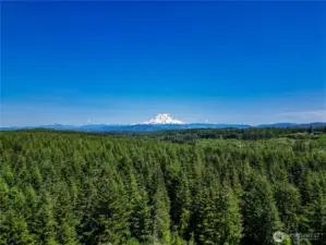Mt. Rainier View Potential with Timber Harvest