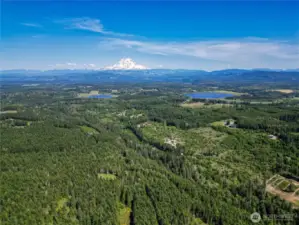 Mt. Rainier View Potential with Timber Harvest