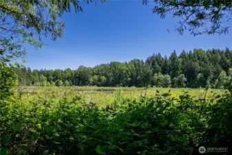 Willow Lake in Willow Lake Community