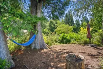 Beautiful area for hammock & entertaining space overlooking the water