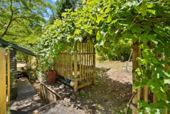 Edible garden with potting table & garden shed space