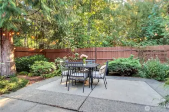 Back yard and patio view, what an oasis! Fully fenced and private, territorial views and expanded patio. You will love all the flora and landscaping, easy to maintain.