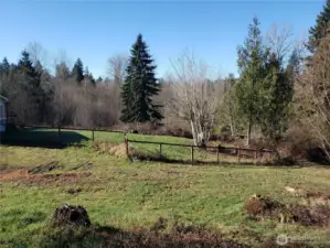 Nice Picture of the Yard