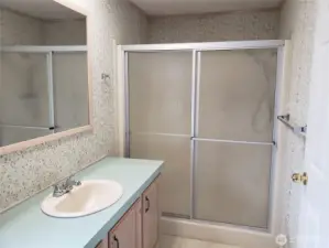 Primary Bathroom Showing Full Shower Unit and Large Vanity.