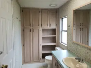 Primary Bathroom Showing Full Shower Unit, Large Vanity and Full Wall Storage Area Linen Closet.