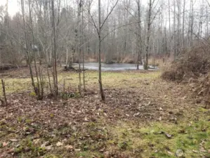 Small Pond at the Back of the 5 Acres.