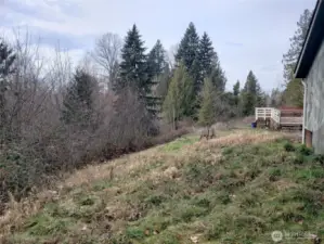 Backyard of the Home.