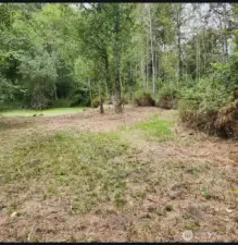 The Pond in the Summer Months.