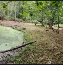Another Picture of the Pond in the Summer Months.