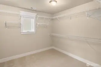 Huge walk-in closet with new carpet!