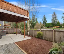 Super easy to maintain back yard.