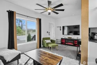 Large Picture Windows