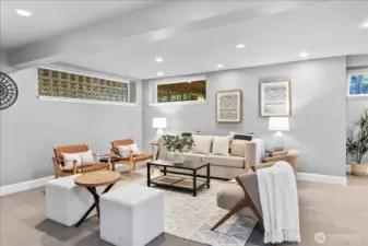 HUGE lower level rec room