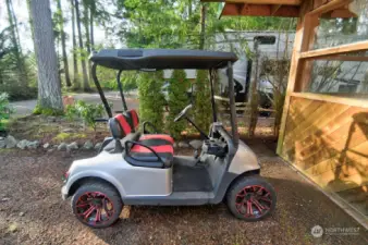 ELECTRIC GOLF CART INCLUDED!