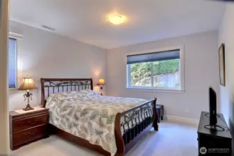 Lower level bedroom