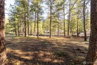 Level treed Lot B has electric and phone connection at Lot together with hook-up to Community water & community drain-field. New owner installs their own septic tank once ready to connect to home.