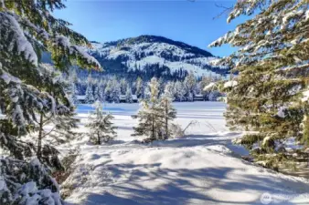 Lot B overlooks the Freestone Lake on a beautiful crisp Winter day! So refreshing. Trail system steps away.