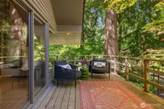 One of 4 decks on the home, this one is off the living room