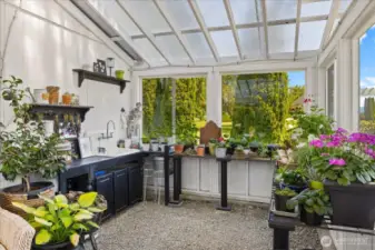 Inside Greenhouse
