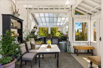 Inside Greenhouse