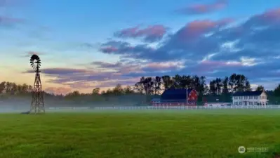 Morning Fog over property