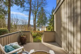 Enjoy the afternoon sun from the west-facing deck that leads down to a beautiful yard area.