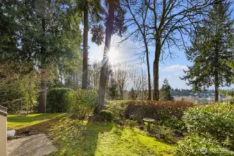 Your own backyard to enjoy